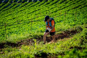 BIB: 614
                            <button type="button" onclick="openModal(19160433)" class="btn btn-primary btn-sm float-right btn-popup" data-toggle="modal" data-target=".modal-high-quality">
                        <i class="fas fa-shopping-cart"></i> Add to Cart
                    </button>
                                            <button type="button" onclick="isThisMe(19160433, true)" class="btn btn-success btn-sm float-right btn-popup btn-isme hidden" data-toggle="tooltip" data-placement="bottom" title="นี่คือรูปของคุณใช่ไหม คลิกที่นี่เพื่อเอาเข้าอัลบั้ม">
                        <i class="fas fa-plus"></i> Add to album
                    </button>
                    <button type="button" onclick="isThisMe(19160433, false)" class="btn btn-warning btn-sm float-right btn-popup btn-isnotme hidden">
                        <i class="fas fa-ban"></i> Remove from album
                    </button>